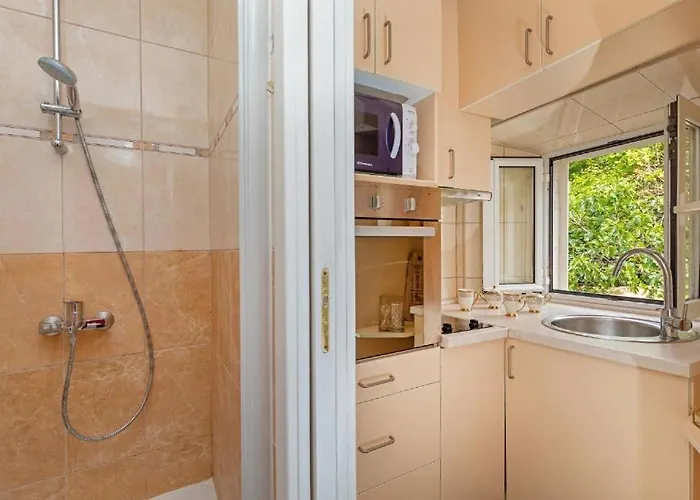 公寓 Apartment Dubrovnik